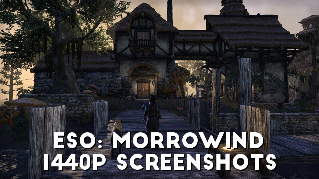 ESO: Morrowind - Jonathan's Screenshots #1