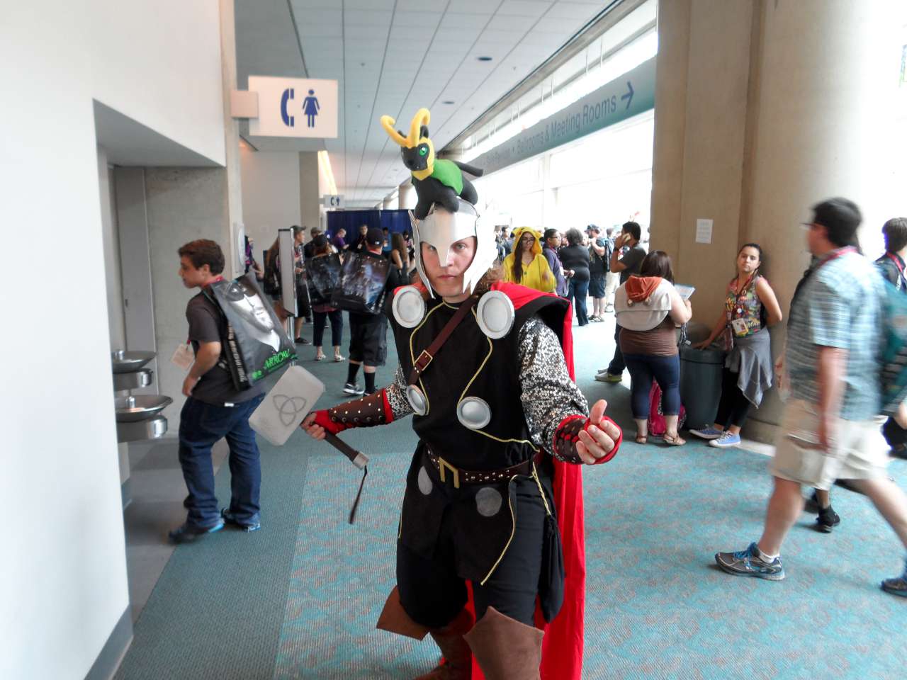 Best Cosplay of Comic-Con 2014 #123