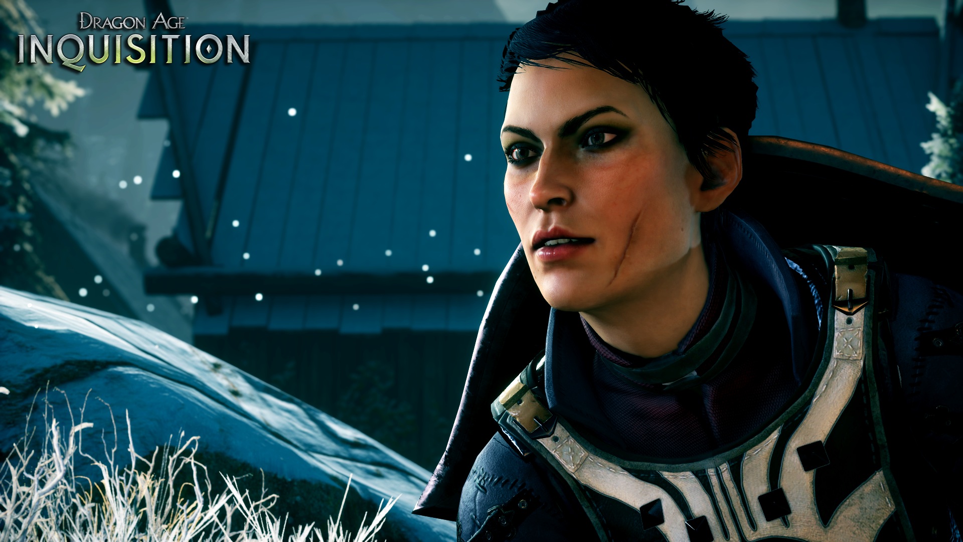 Dragon Age: Inquisition #7