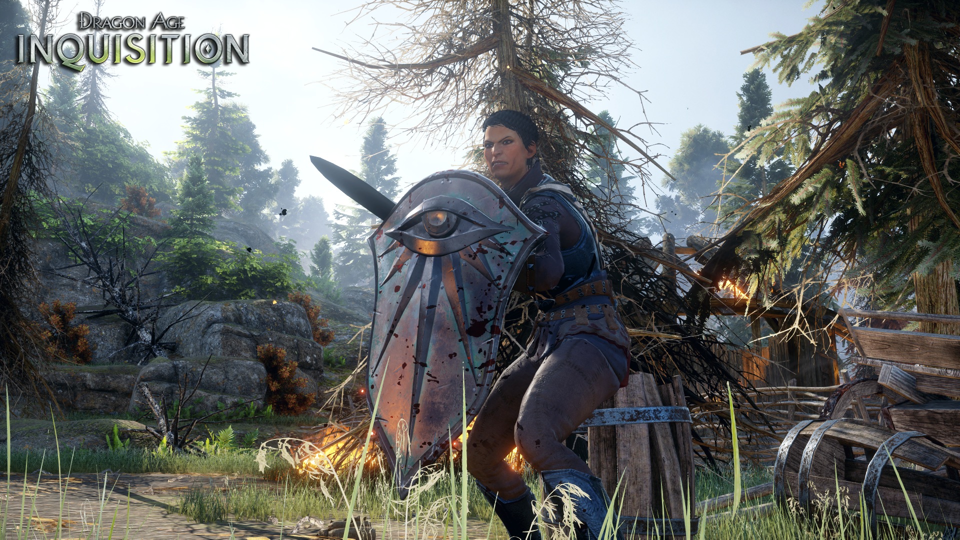 Dragon Age: Inquisition #11