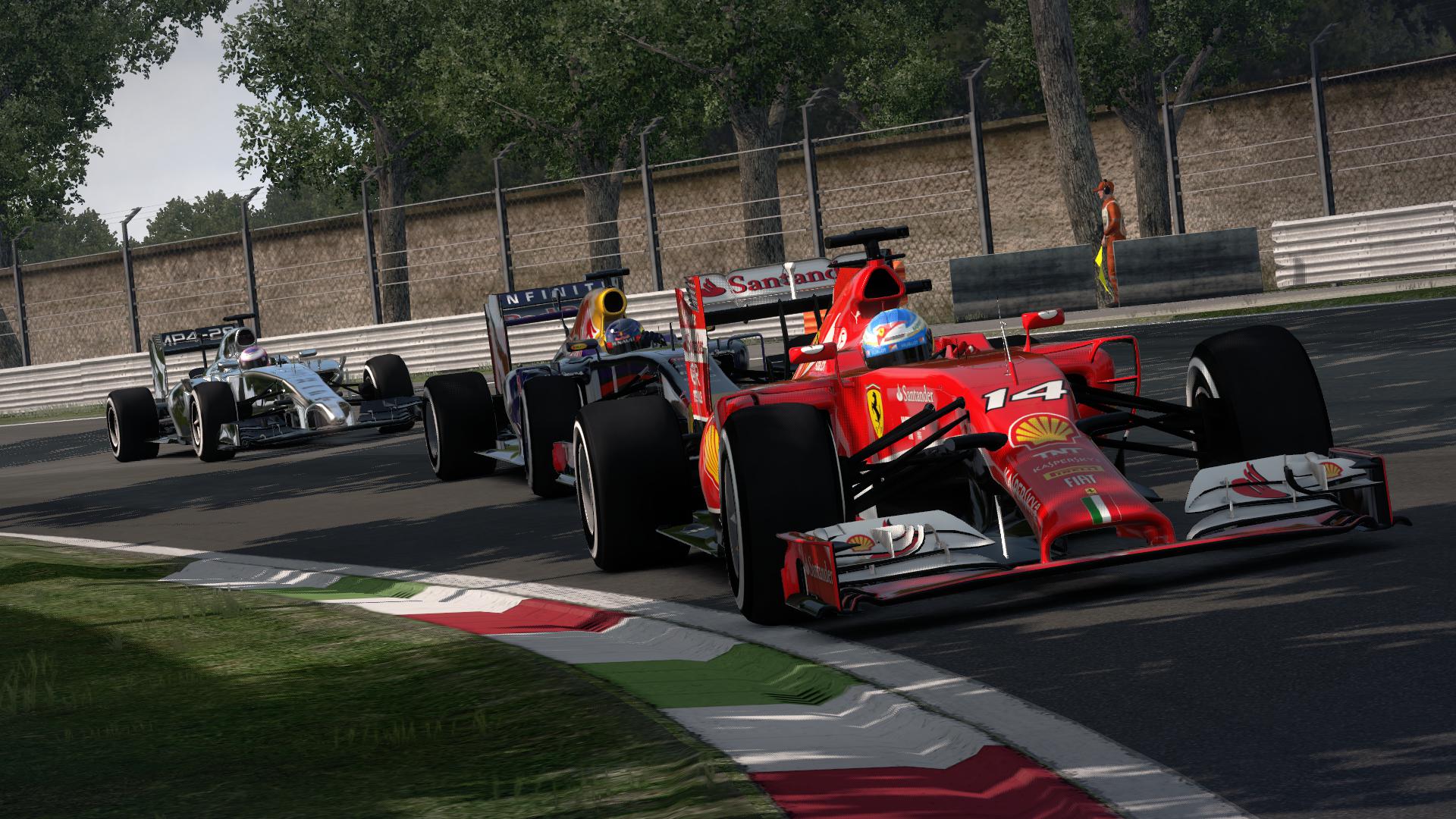 F1 2014 #2