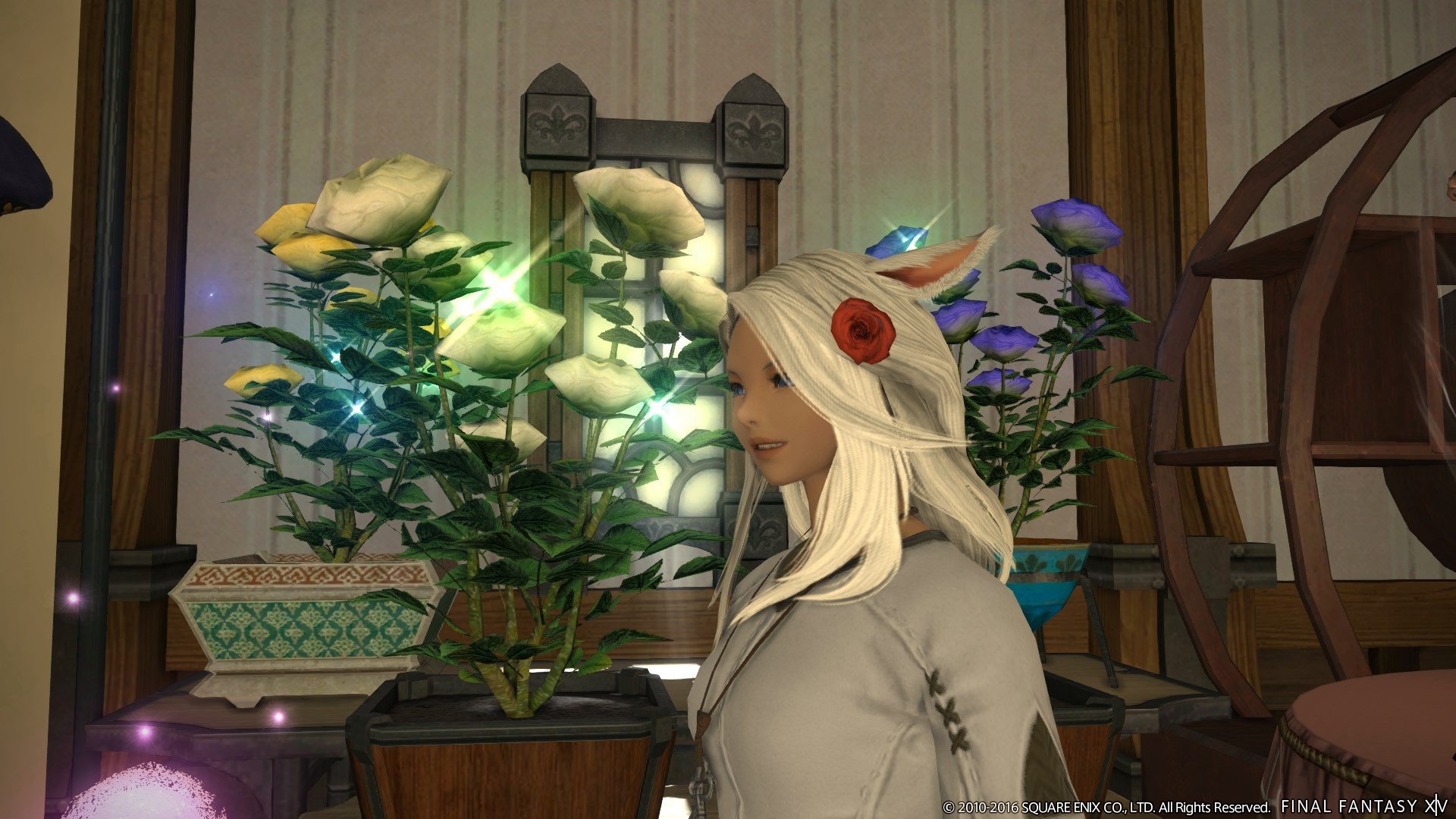 final-fantasy-xiv-heavensward #243