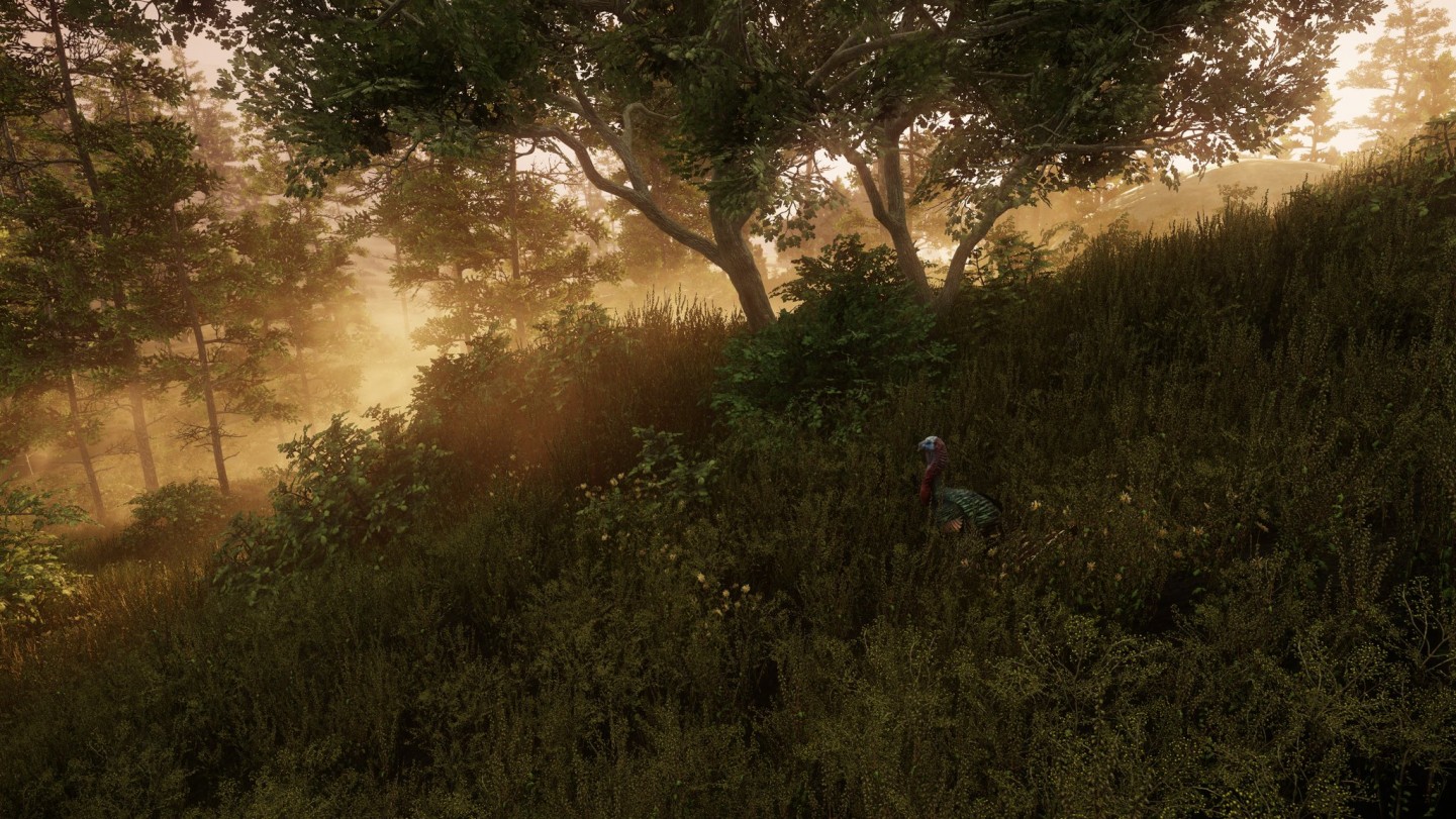 Screenshots: 's New World Game Is an MMORPG About Colonization