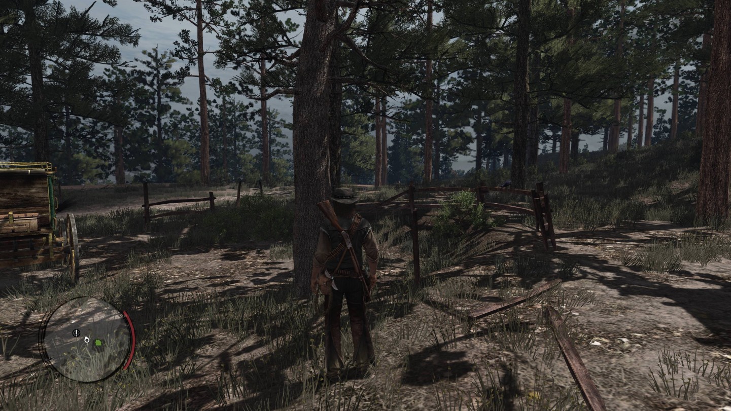 Red Dead Redemption 4k Screenshot 8