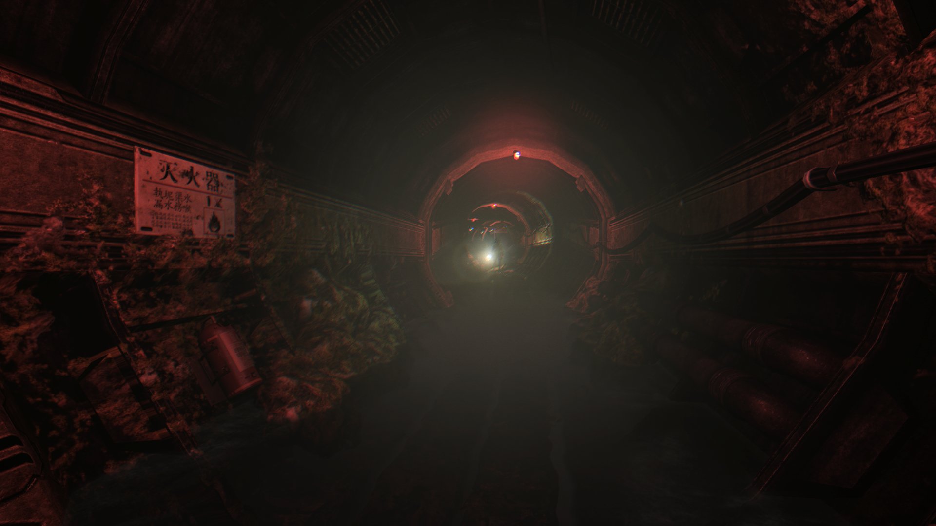 soma #13