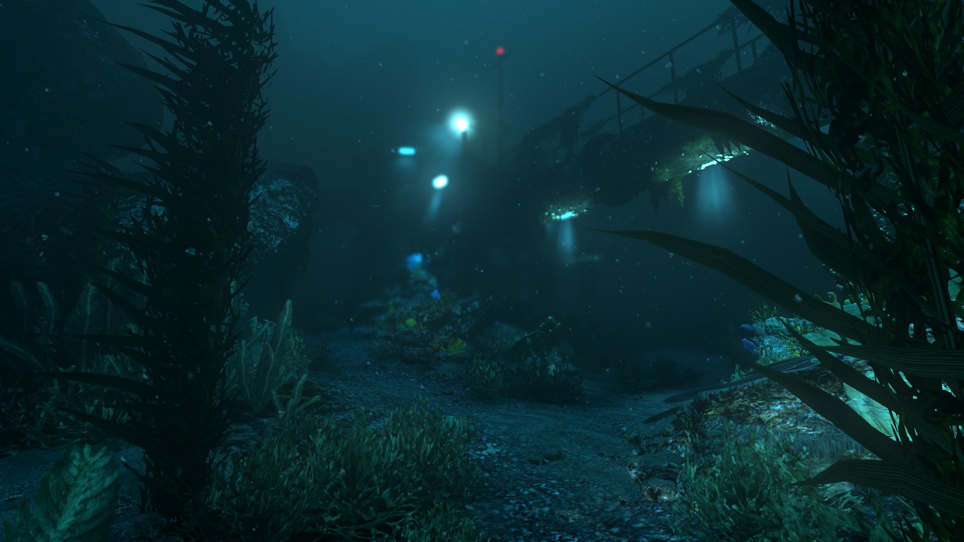 soma #22